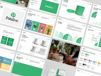 Pótslive Plant - Branding 7design branding cip design graphic design green guideline identity identity program logo plant
