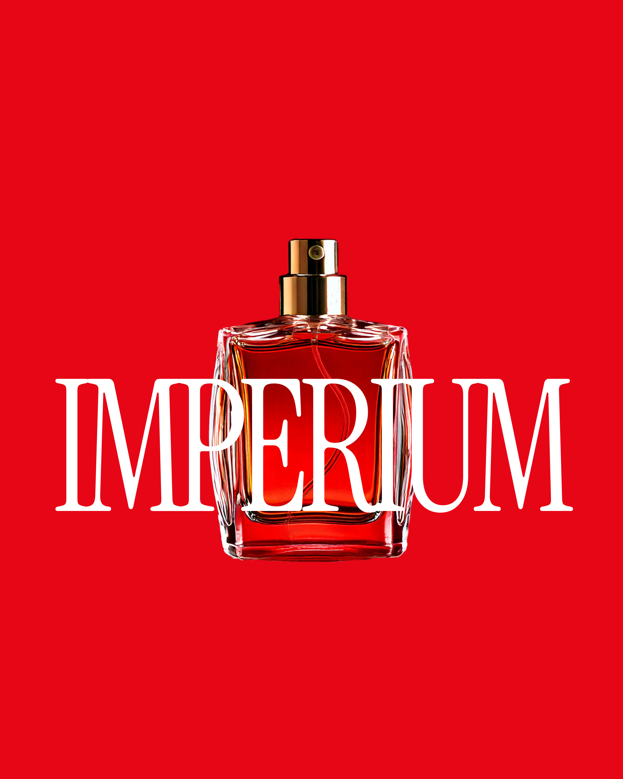 Example of Branding And Visual Identity Package