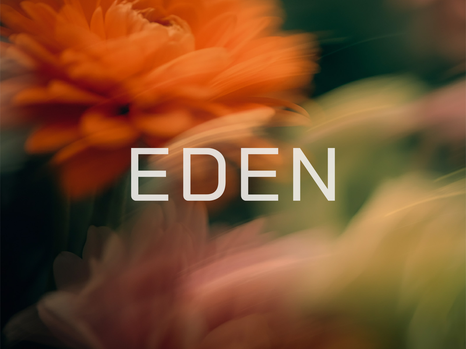 EDEN brand design brand designer brand identity branding brandmark custom logo custom logo design custom typography custom wordmark identity identity design identity designer logo logo design logo designer mark skincare logo typography visual identity wordmark