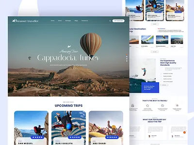 Dream Traveller branding design figma graphic design illustration ios logo ui ux web wireframe