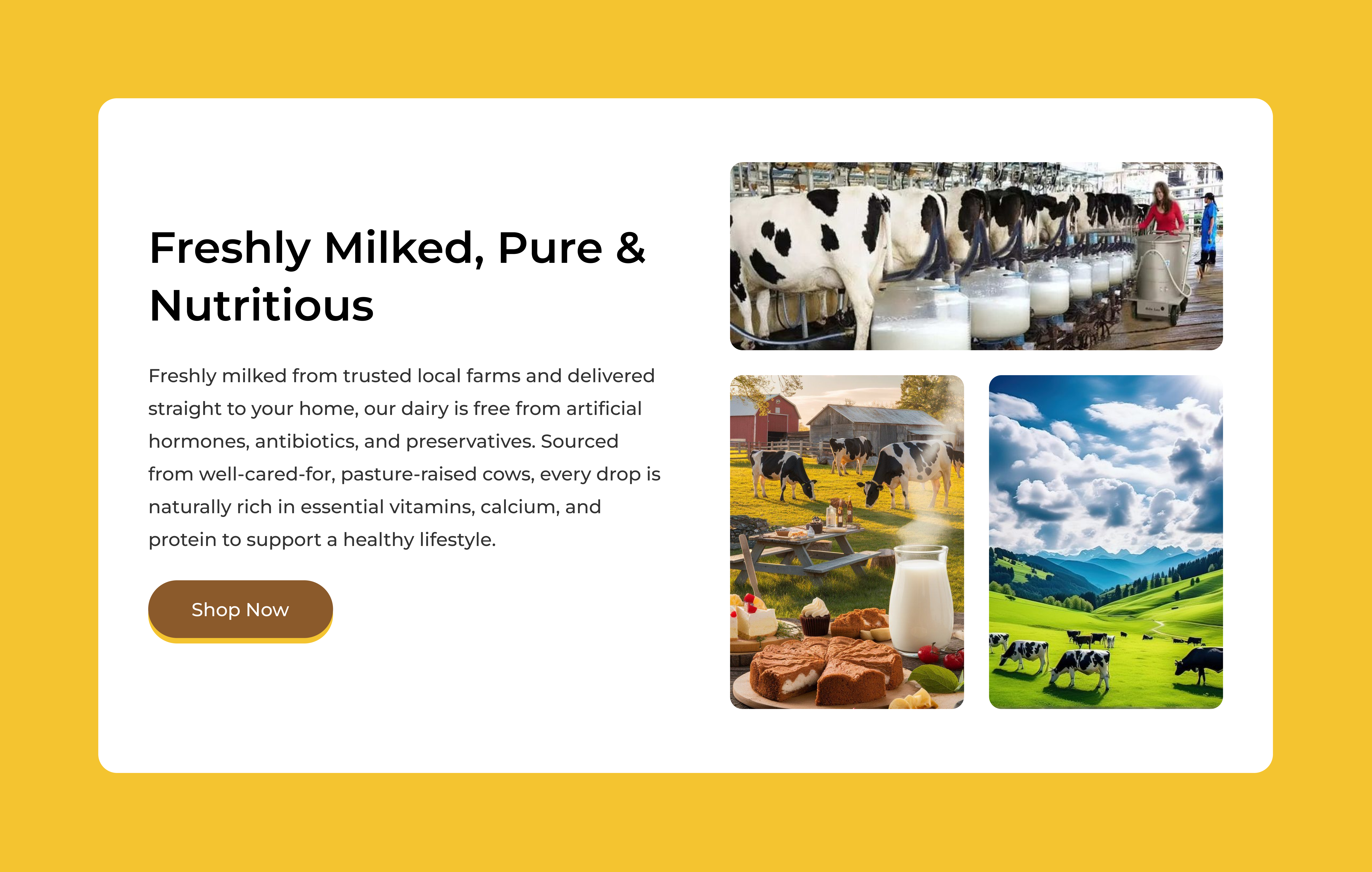 Farm-to-Table Milk E-commerce UI Design e commerce e commerce ui design milky product ui ui uidesign uiux uiux design visual design website website design