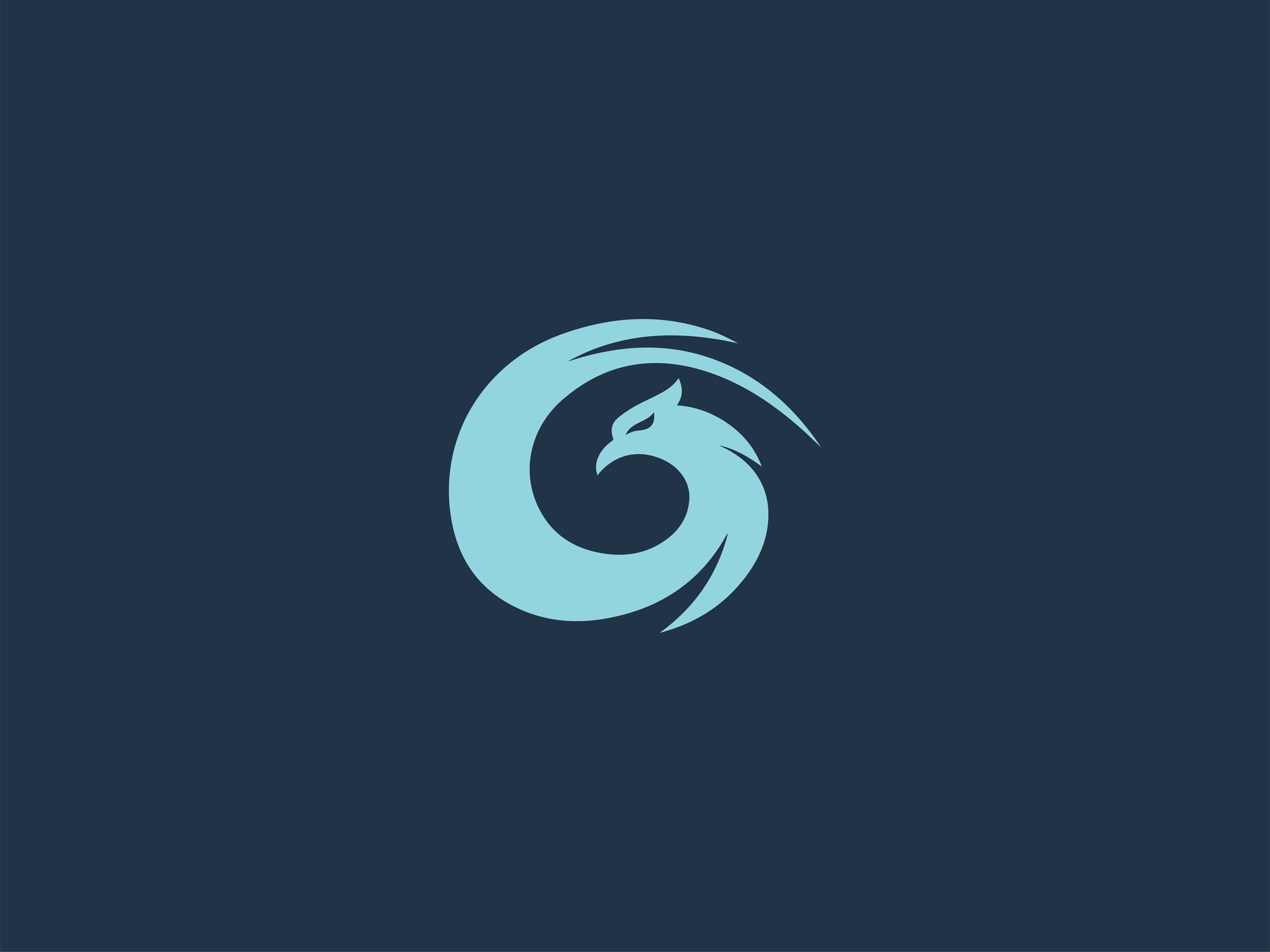 Example of Logo & Brand Identity Guidelines Design