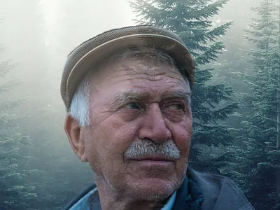 Video Editing adobe premiere pro canva capcut davinci resolve final cut pro