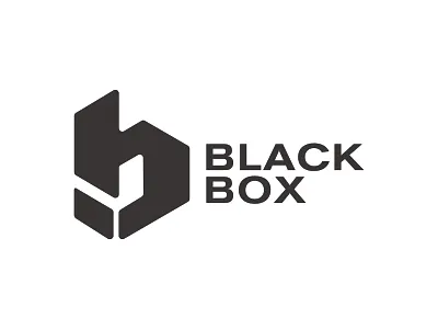 Black Box Logo box branding geometric logo