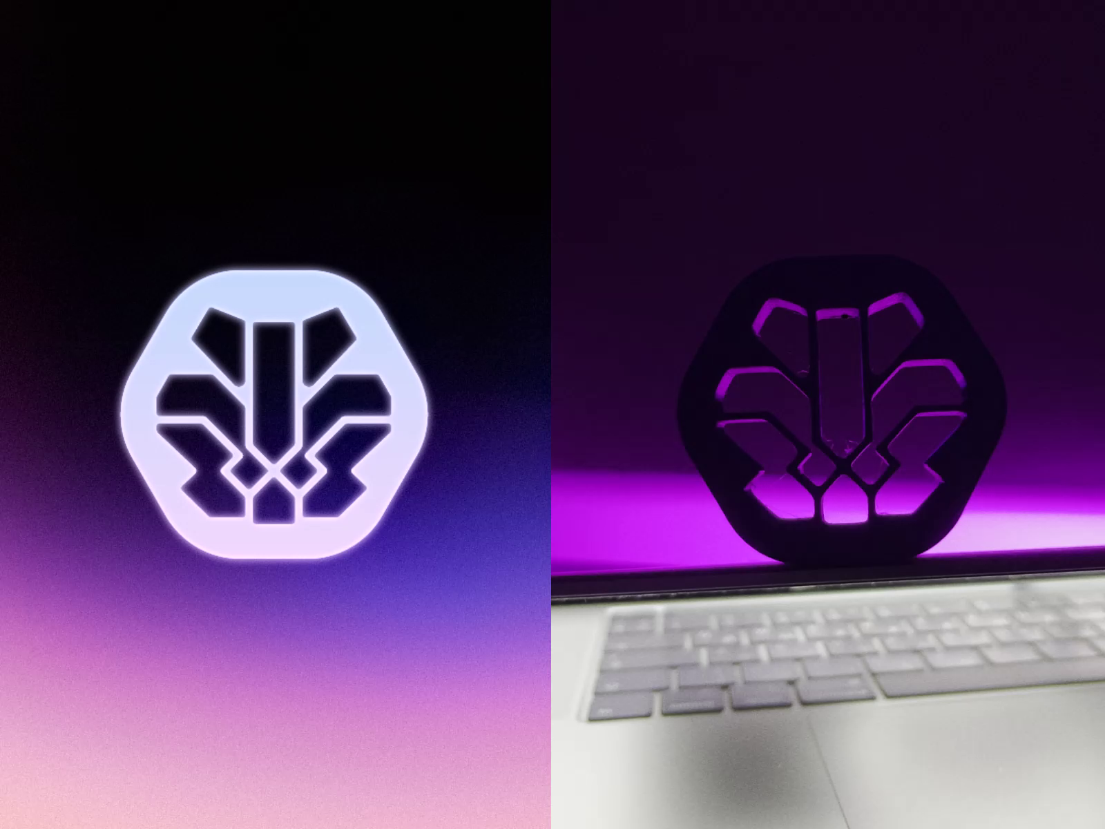 Example of Logo Design  — 5 Concepts