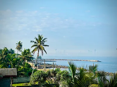 Colombo in fog city fog nature palms sky travel