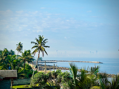 Colombo in fog city fog nature palms sky travel
