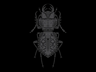 Stag Beetle adobe adobe illustrator artist artwork beetle creative design detail entomology graphic design illustration insect nature stag stag beetle study vector