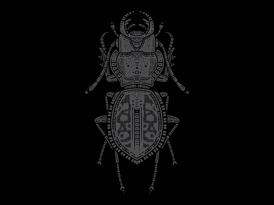 Stag Beetle adobe adobe illustrator artist artwork beetle creative design detail entomology graphic design illustration insect nature stag stag beetle study vector