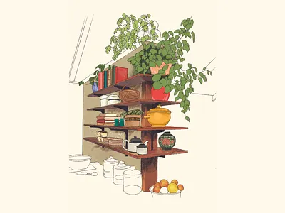 Shelf Illustration graphic design illustration