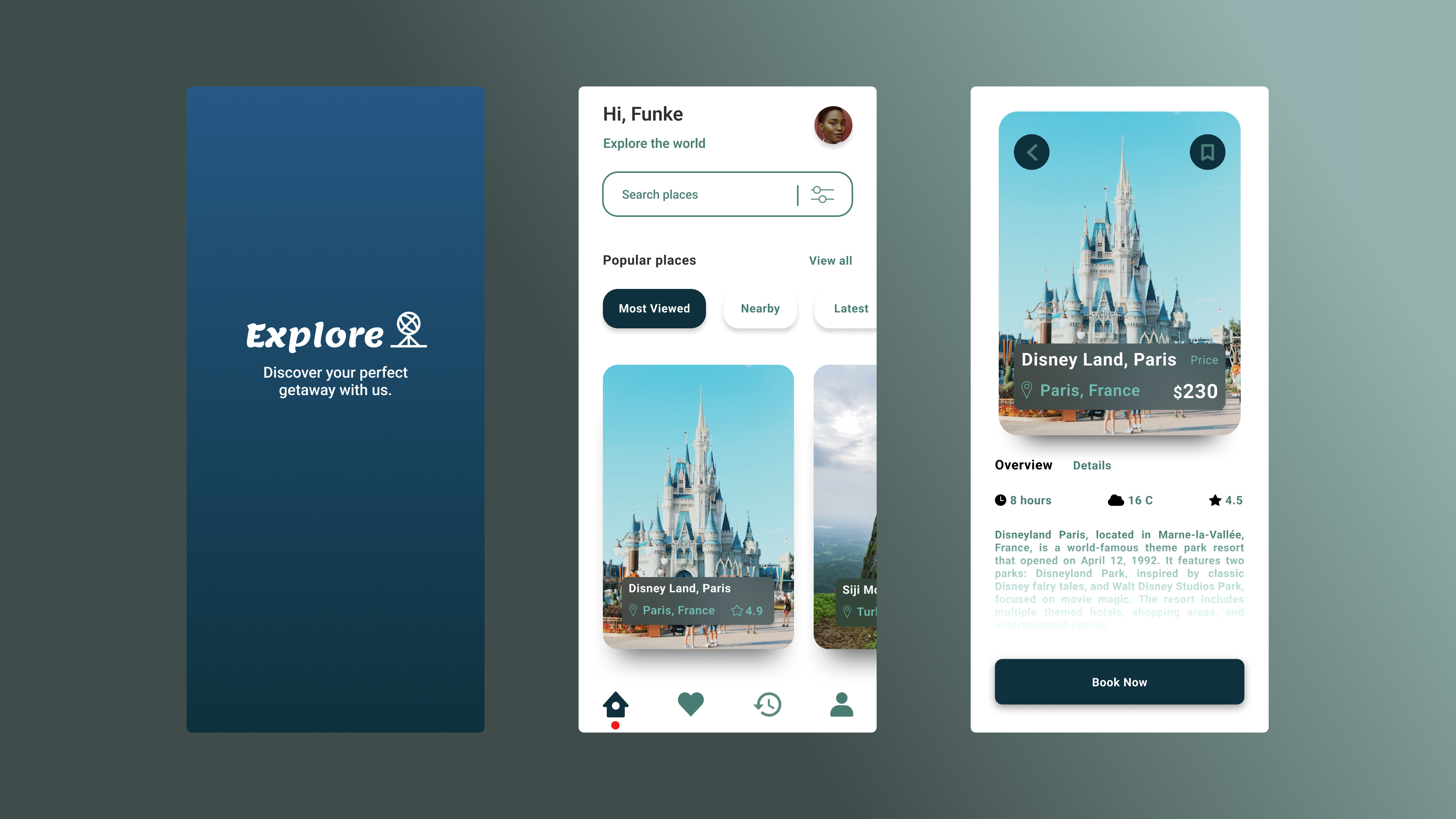 Travel app interface mobile application travel ui uiux