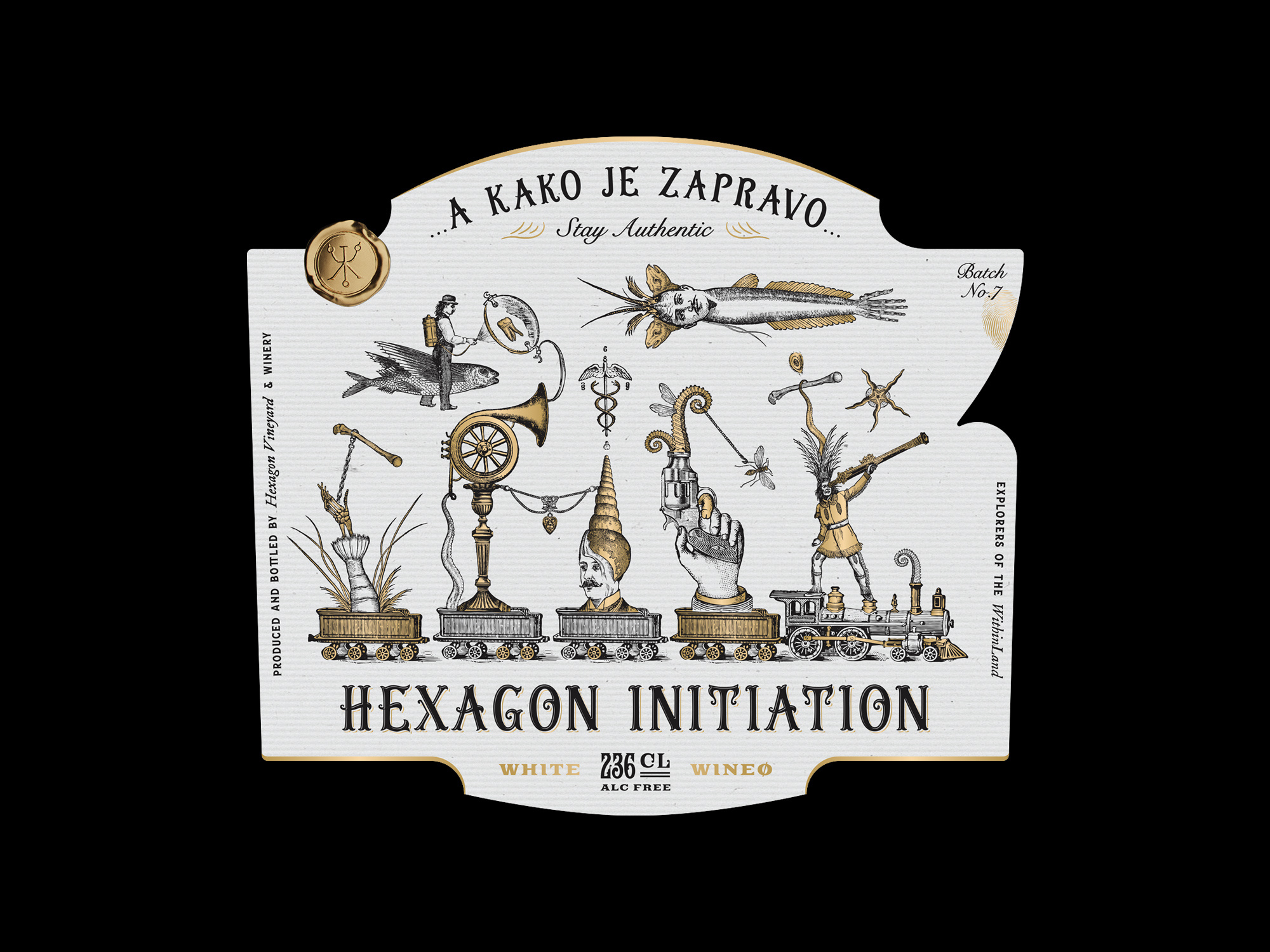 Hexagon Initiation abstract alchemy brand identity branding collage hand drawn label label design mystic occult packaging packaging design surreal vintage wine label winery