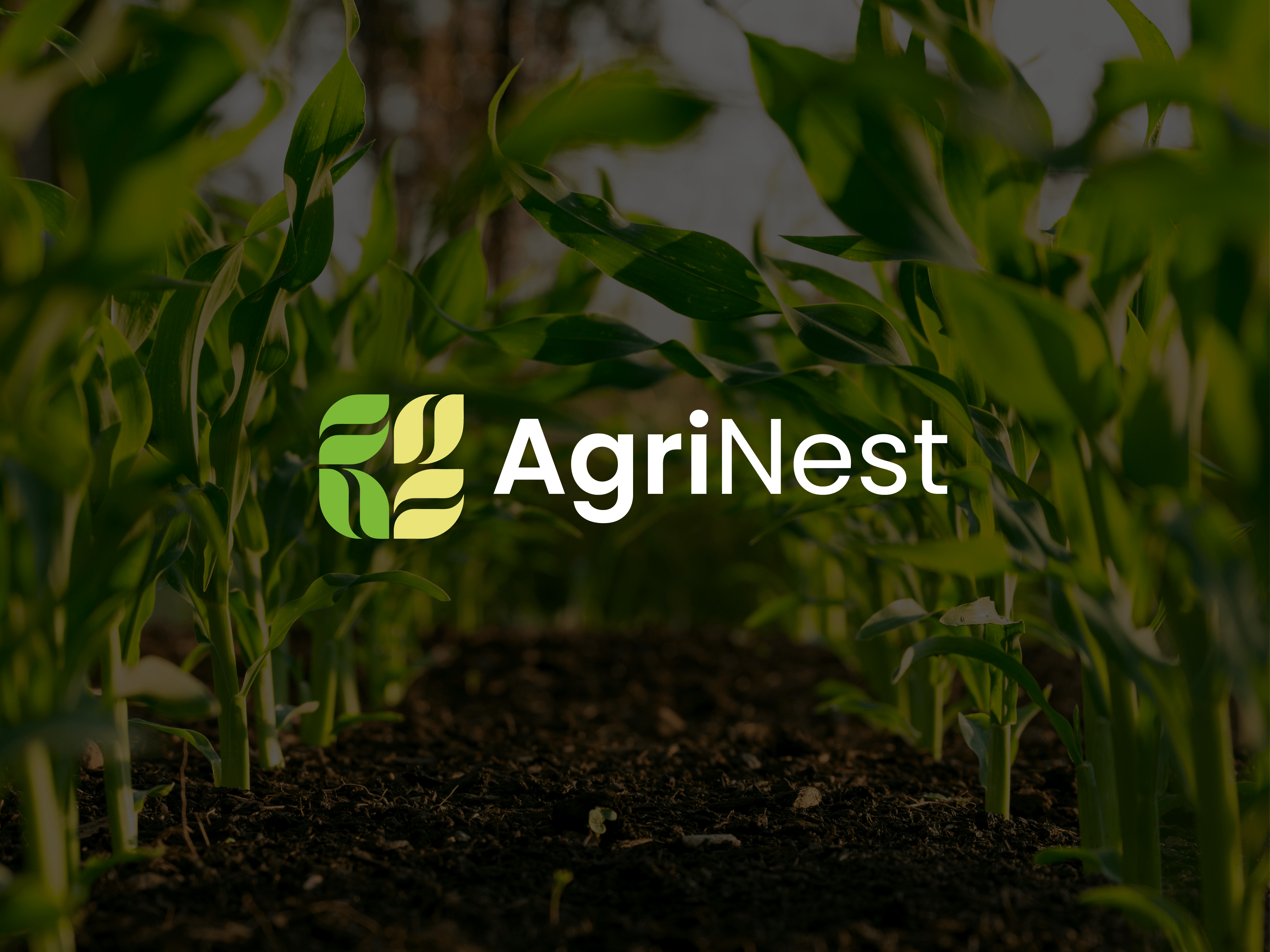 AgriNest Agriculture Logo Design logo creation