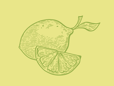 Lime Illustration Logo brand identity branding carving citrus design flat fruit green icon illustration illustrator lime line art logo minimal packaging style symbol vector vintage
