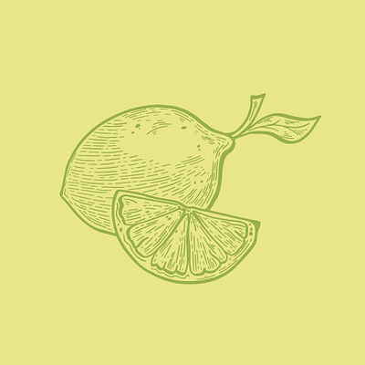 Lime Illustration Logo brand identity branding carving citrus design flat fruit green icon illustration illustrator lime line art logo minimal packaging style symbol vector vintage