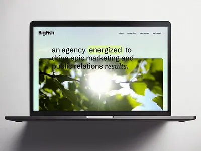 Big Fish Collective adventure creative direction glow up graphic design logo branding marketing outdoors pr rebrand visual identity web design