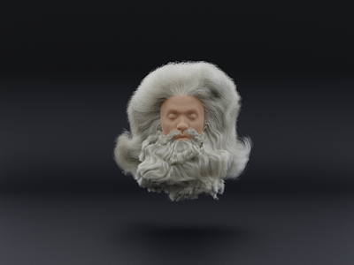 Luscious 3D Hair 3d beard cg cgi comb digital art god groom hair long hair santa simulation