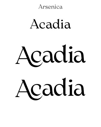 Acadia Wordmark branding design fonts graphic design logo typeface wordmark