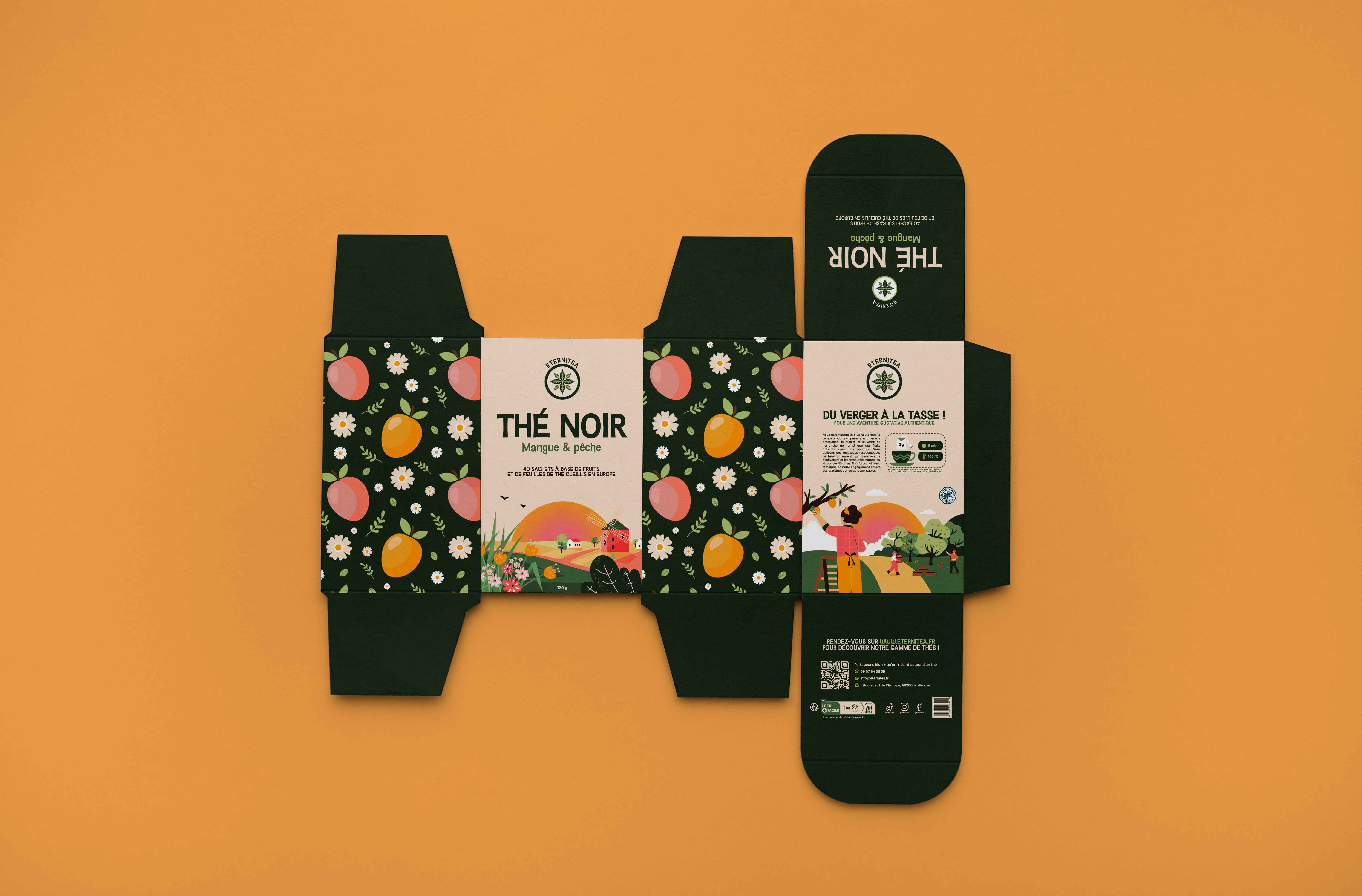 Example of Packaging Design