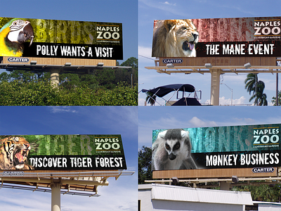 Naples Zoo Billboards