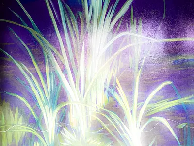 Ανάπτυξη - Growth illustration photoshop street art wall design αθήνα σχέδιο τοιχογραφία φωτογραφία