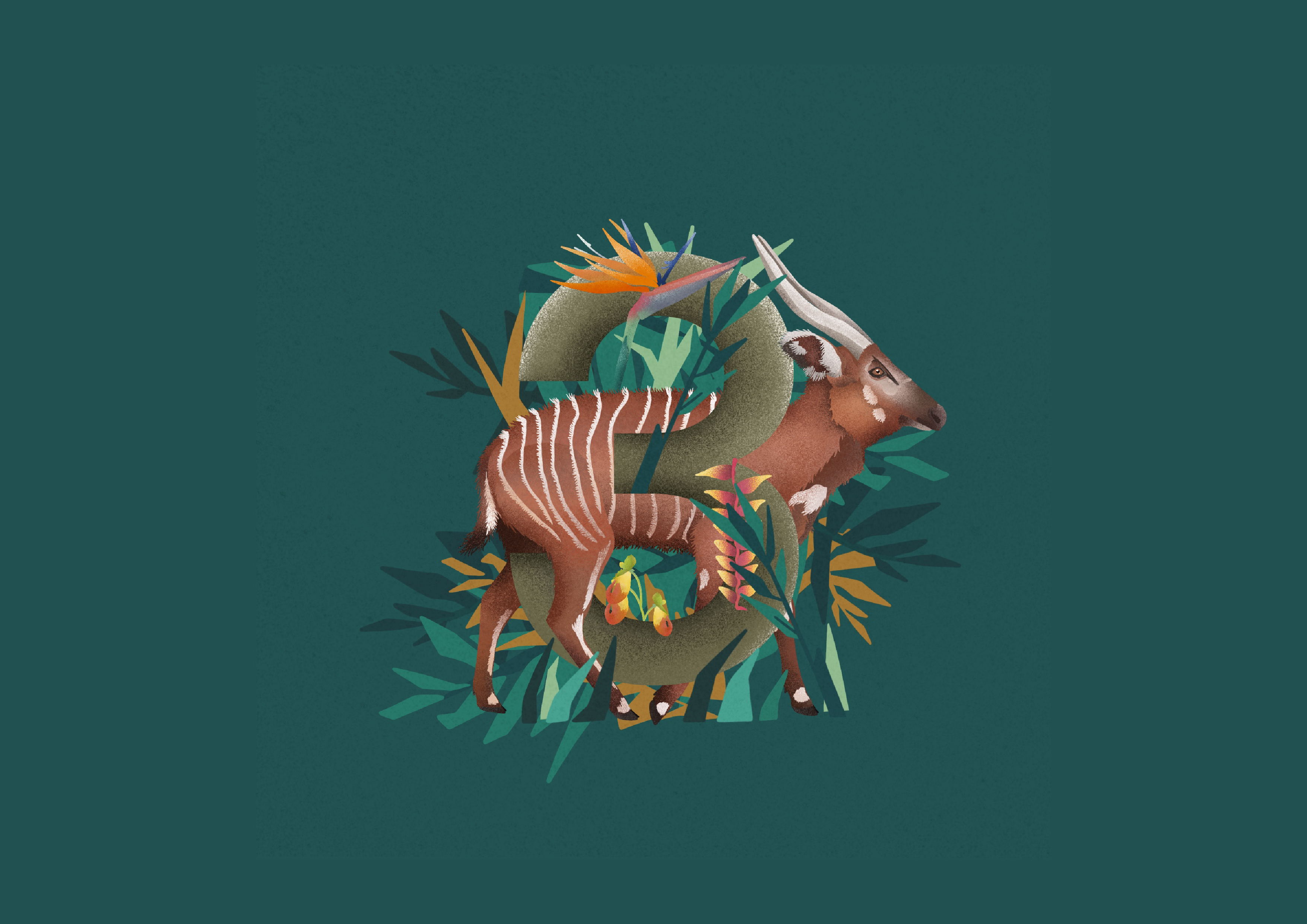 Bongo Number 3 animal design animal illustration animal illustrator bongo book art book illustraiton brand brand identity branding branding design childrens illustration design graphic design illustration nature illustration ui wildlife wildlife illustration
