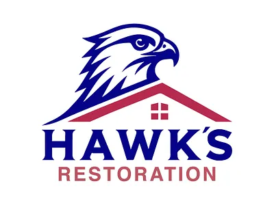 Roof Restoration Logo brand design branding creative creative design design eagle logo graphic design house illustration logo real estate logo roof logo vector