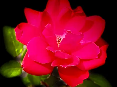 Photography & Expression color theory lightroom photo editing photography photoshop