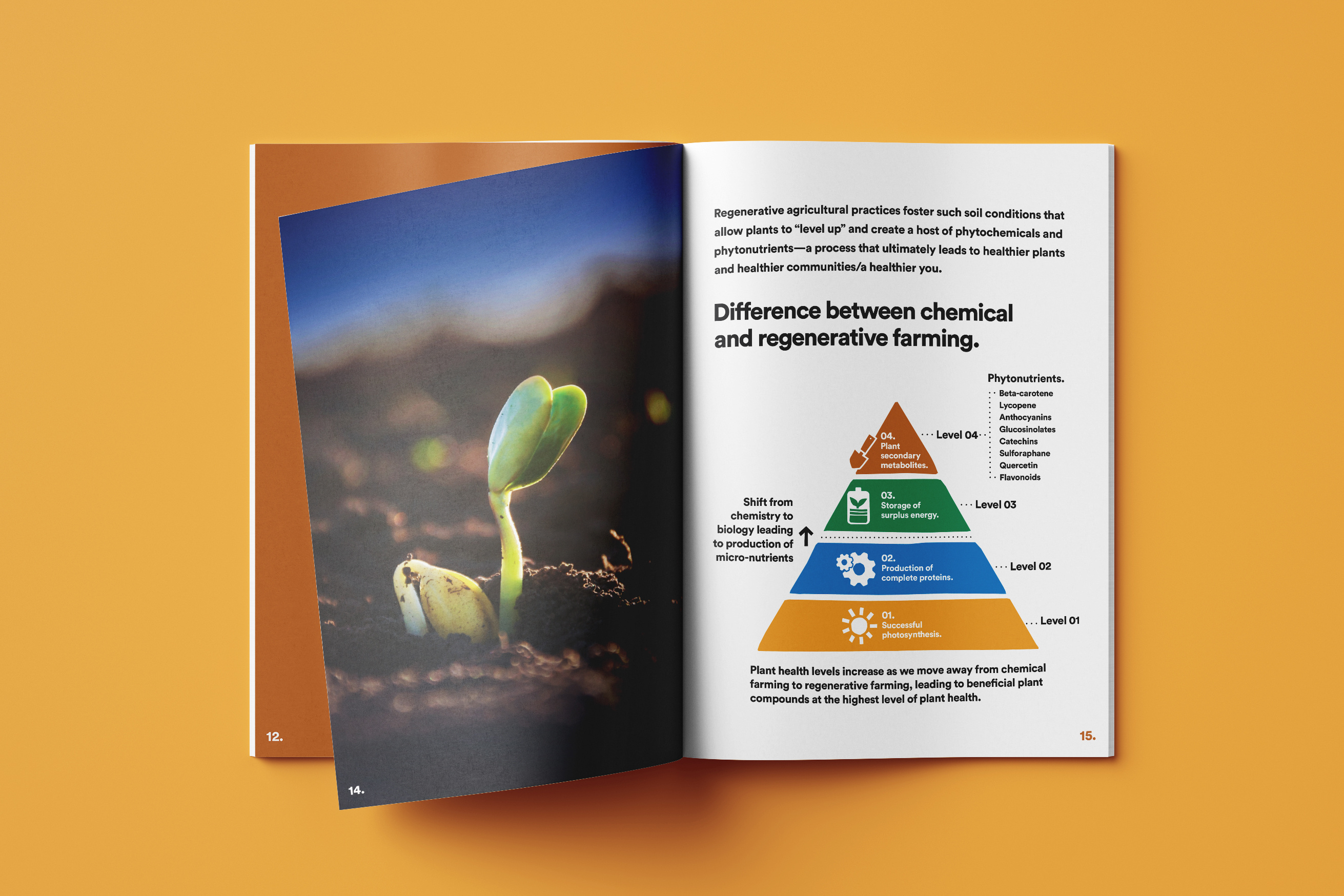 Sales Collateral Book | Regenerative Food Brand adobe illustrator adobe photoshop book branding colour palette colourful design icon design iconography informative print print design sales sales collateral