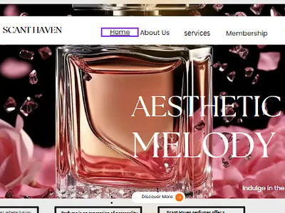 Web Design design graphic design logo motion graphics ui ux web design