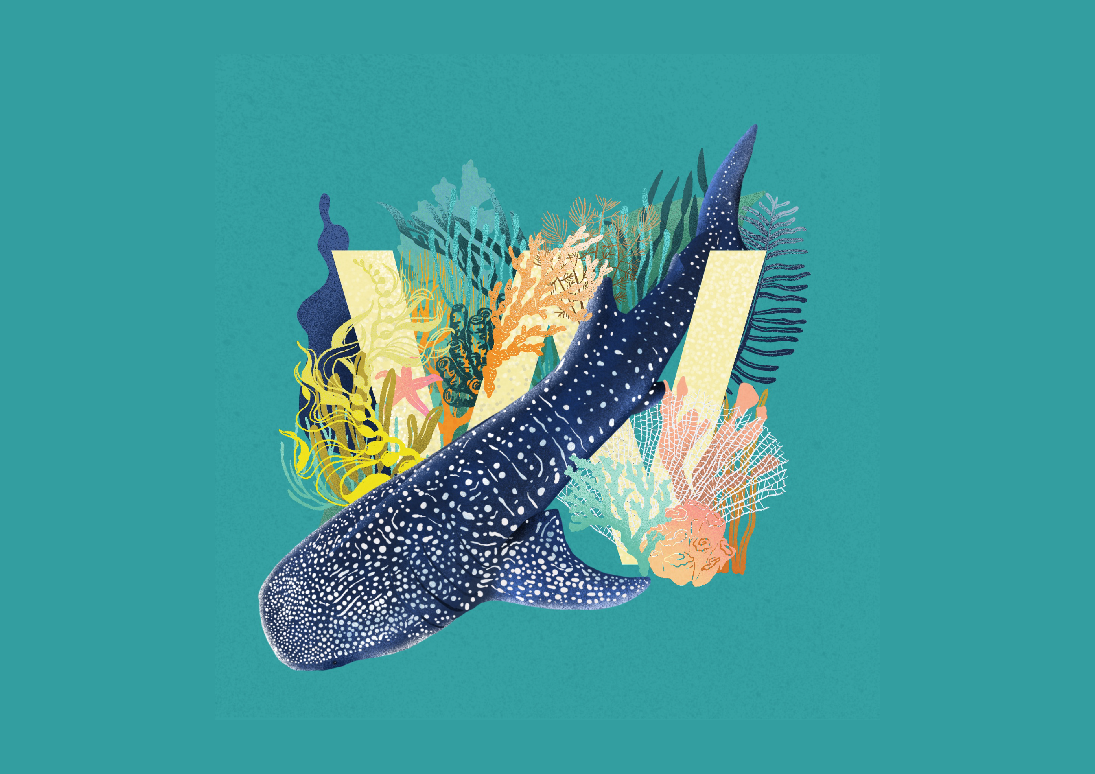 Whale Shark W animal illustration book illustration book illustrator brand brand identity branding branding design childrens book illustration childrens book illustrator design graphic design illustration ocean illustration sea illustration shark illustration ui whale illustration whale shark whale shark illustration wildlife illustration