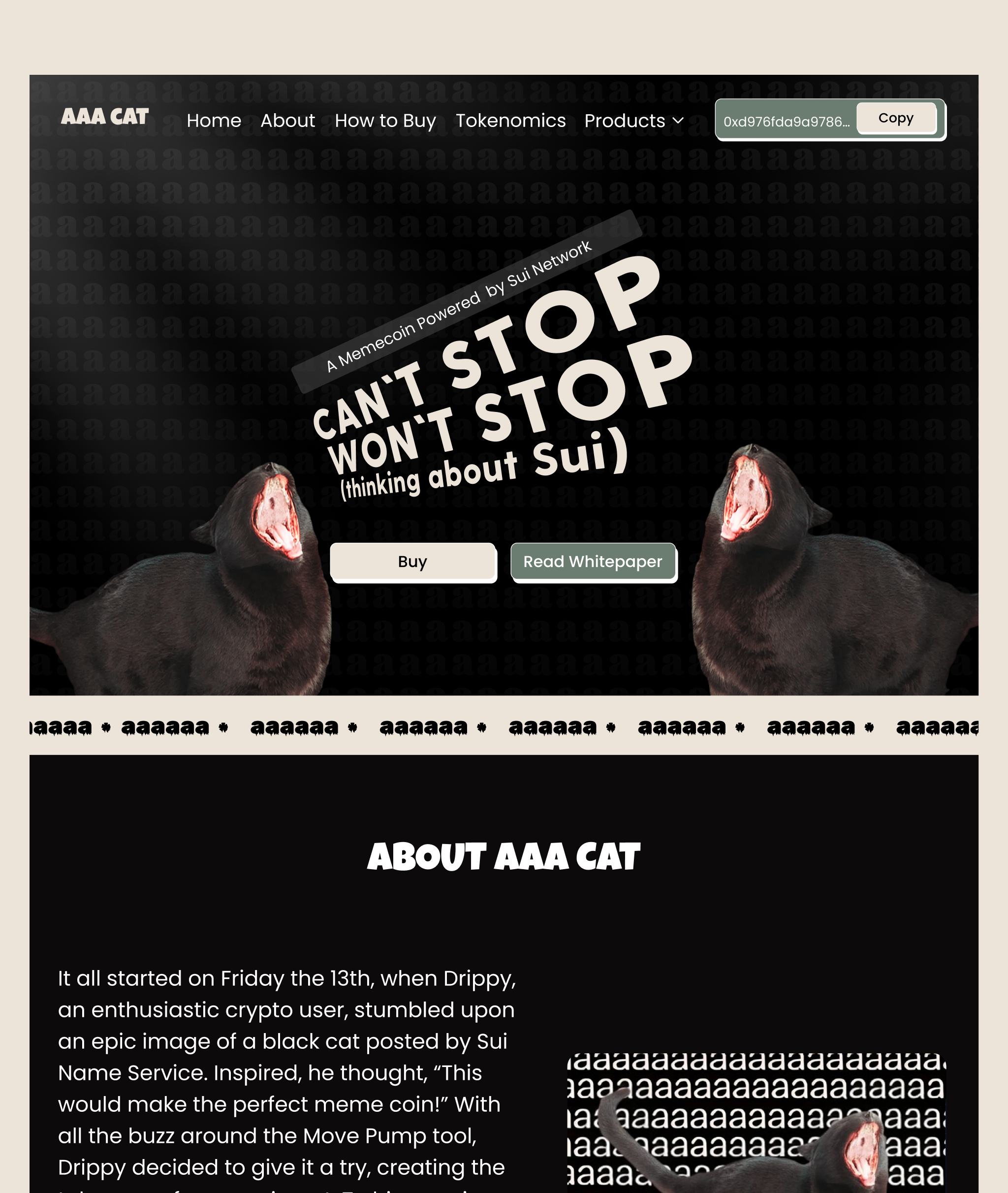 Example of Website Design