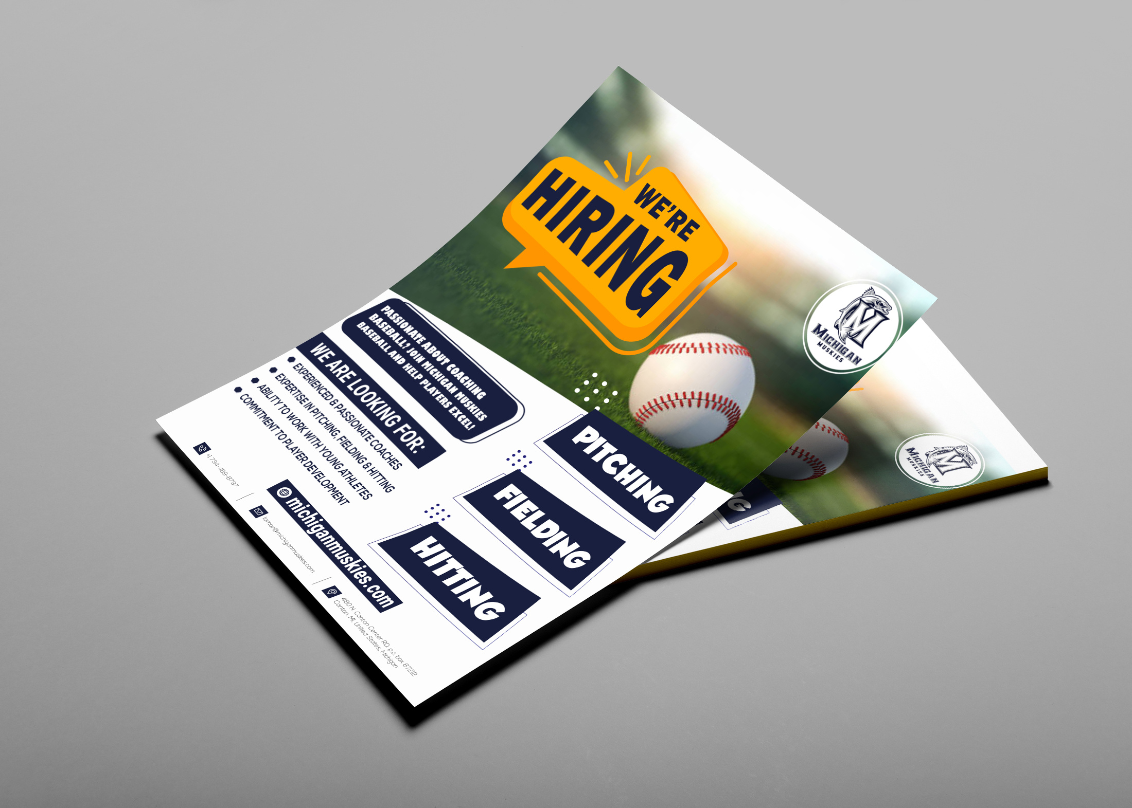 Example of Eye Catching Flyer & Poster Design