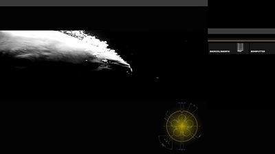 Bear website animation animation motion graphics ui