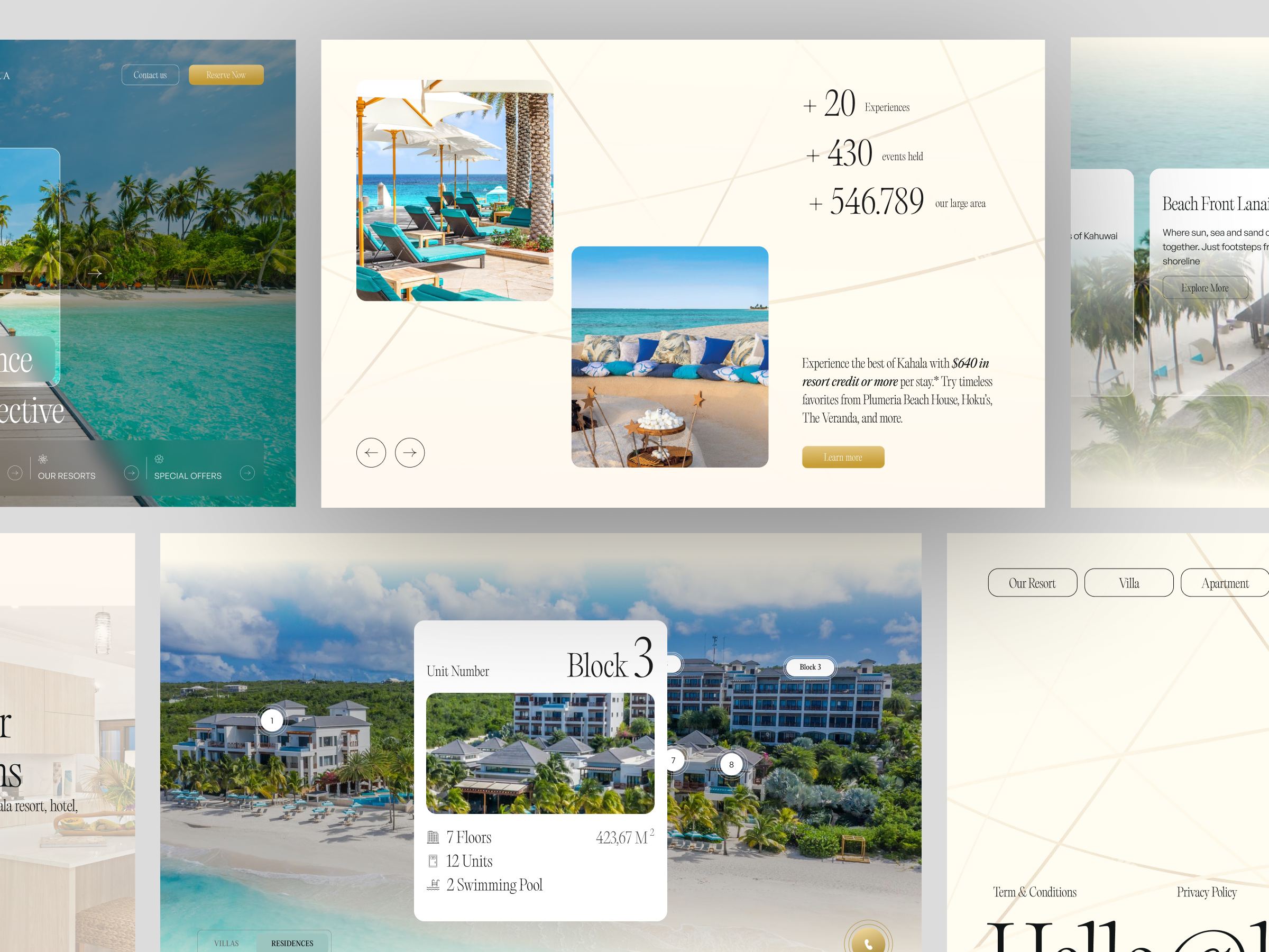 Example of Web Design ( Home Page + 2 Inner Page)