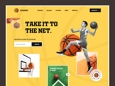 Basketball Academy landing page academy basketball basketball academy design fitness homepage landing page learning nba sports training web web design website website design