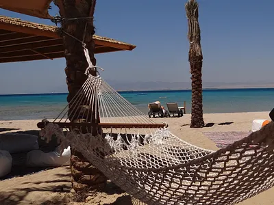 Promotional Video| Travel with Me animation graphic design video