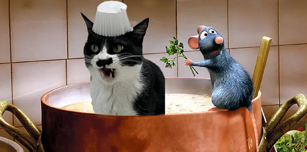 Example of Creare Imagine Amuzanta