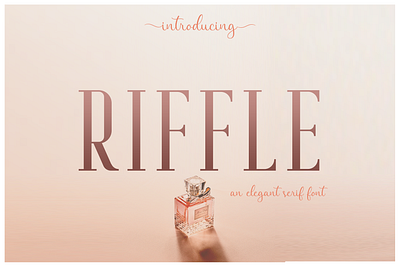 Riffle Font Family expensive