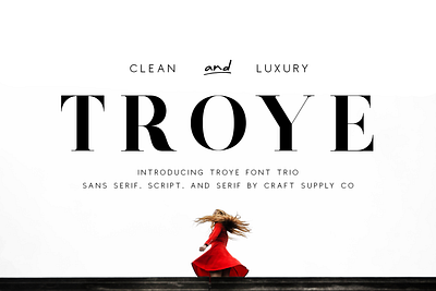 Troye Font Trio – Clean & Luxury logo impressive