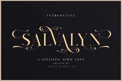 Salvalyn – Stylistic Serif Font expensive