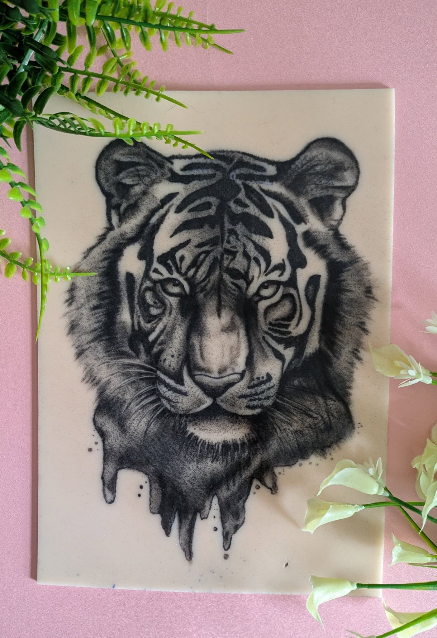 Tiger. bigcat blackandgrey fakeskin northwesttattoo reelskin tattoo tattoopractice tiger tigertattoo uktattoo wirraltattoo