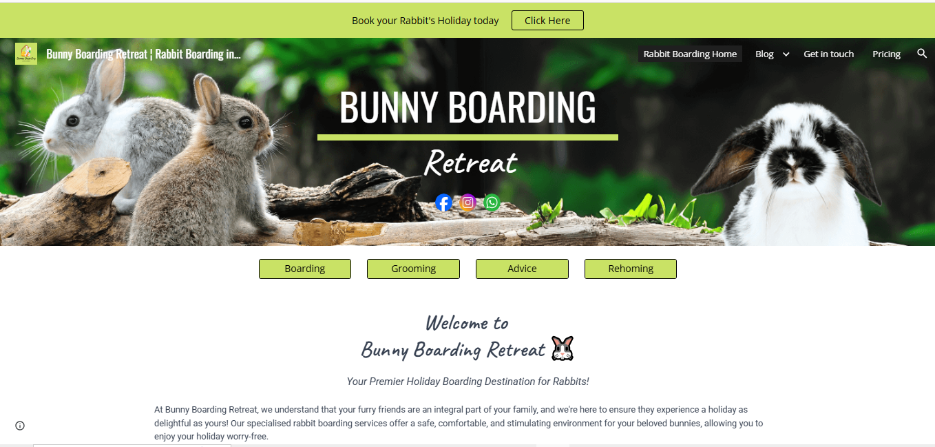 Example of Wix Website Design/Redesign