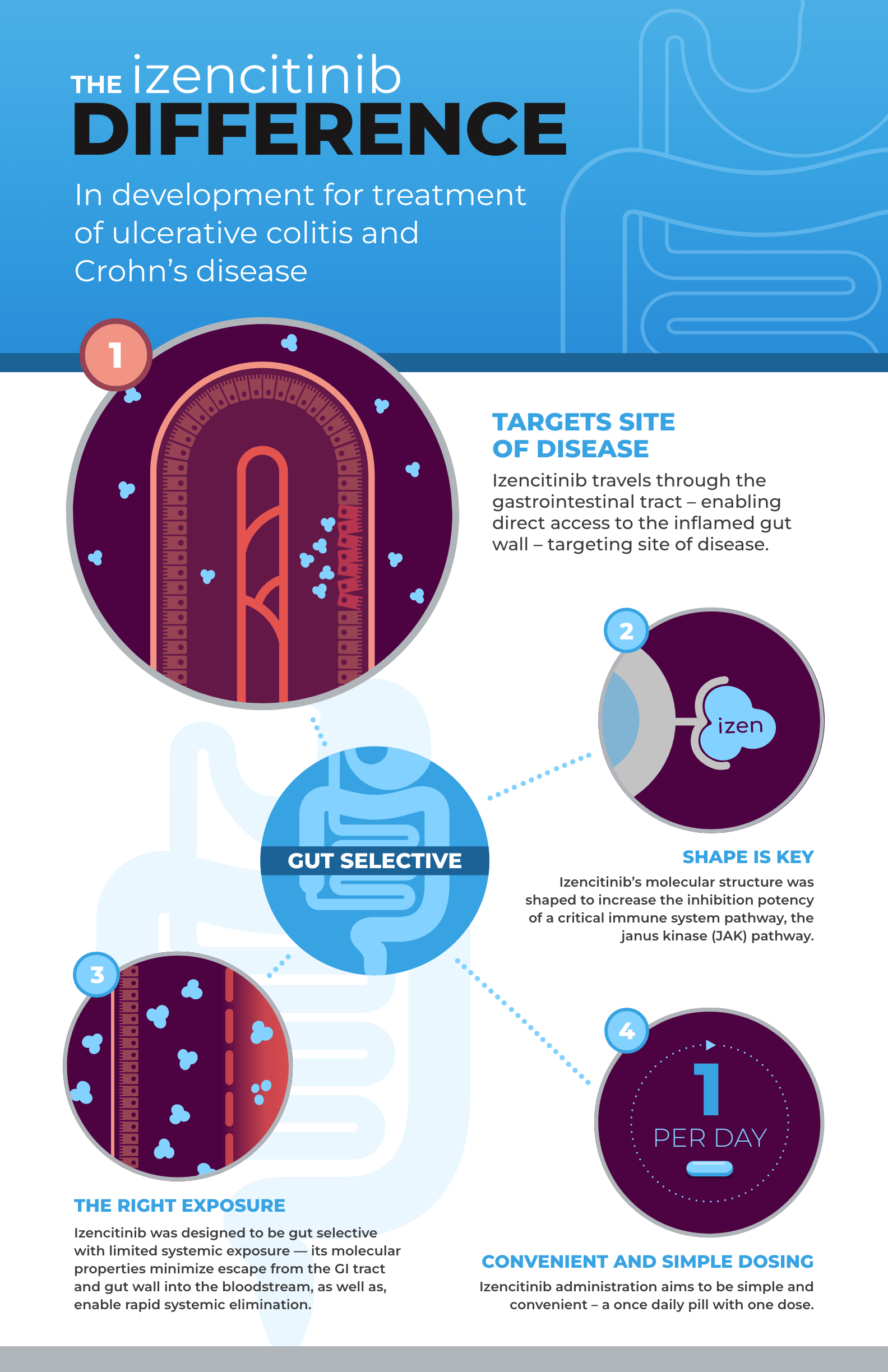 Medical Illustration