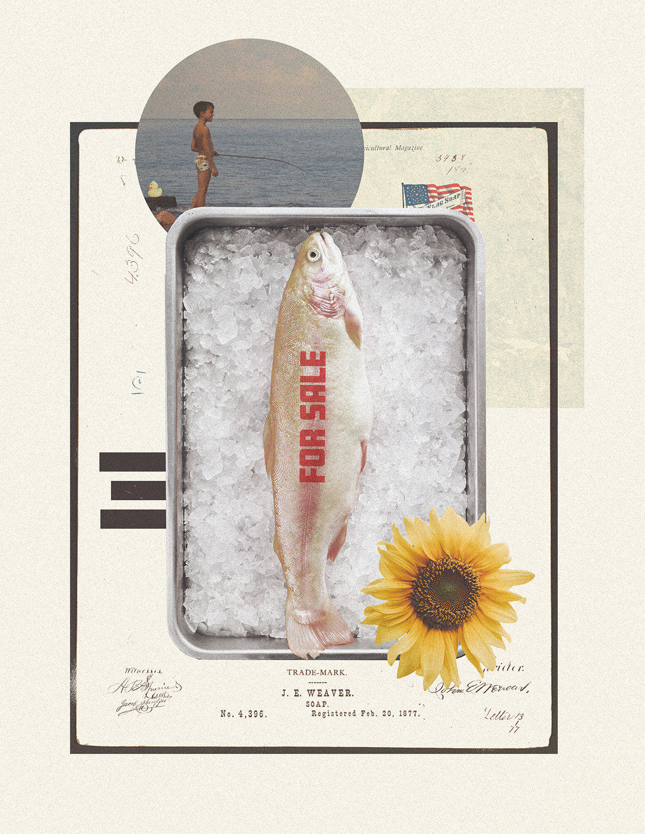 For Sale - Digital Collage collage color design digital art digital collage photoshop print texture