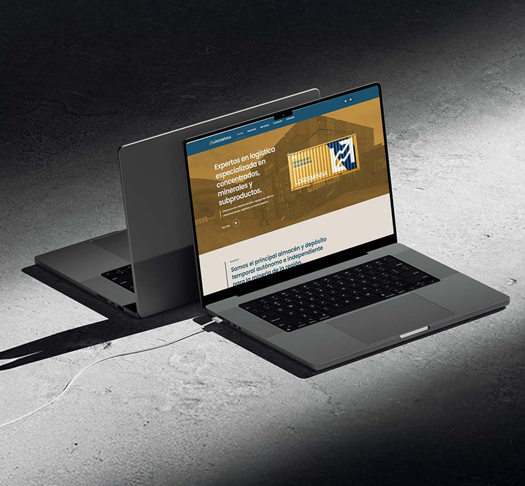 Logisminsa bulk cargo loading bulk material handling cargo transportation concentrate storage crushing and grinding customs brokerage customs warehouse deposit certificates environmental protection industrial warehousing material homogenization mineral blending mineral logistics mineral processing mineral sampling mining operations mining services mining supply chain moisture determination secure storage