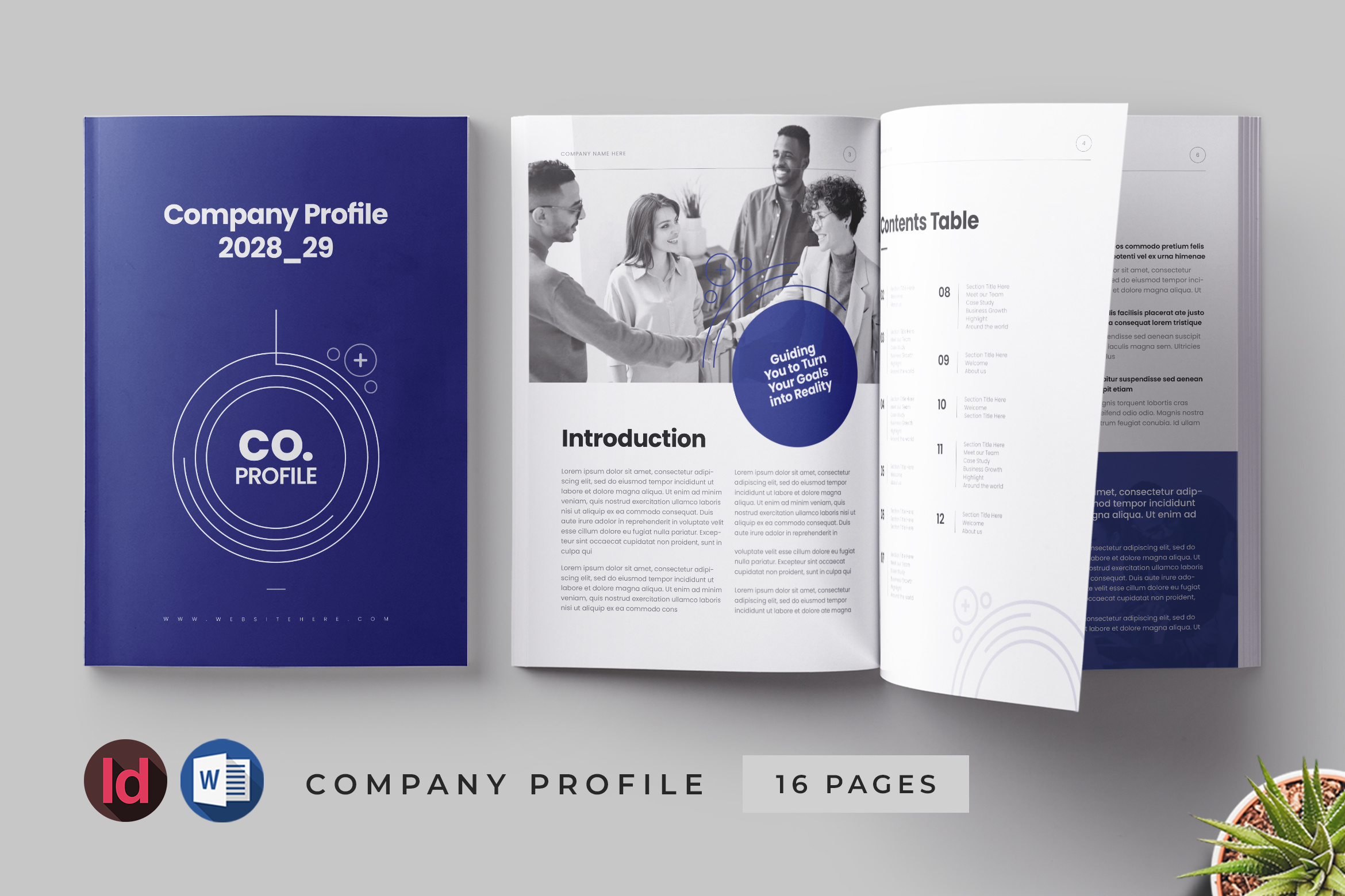 Company Profile design
