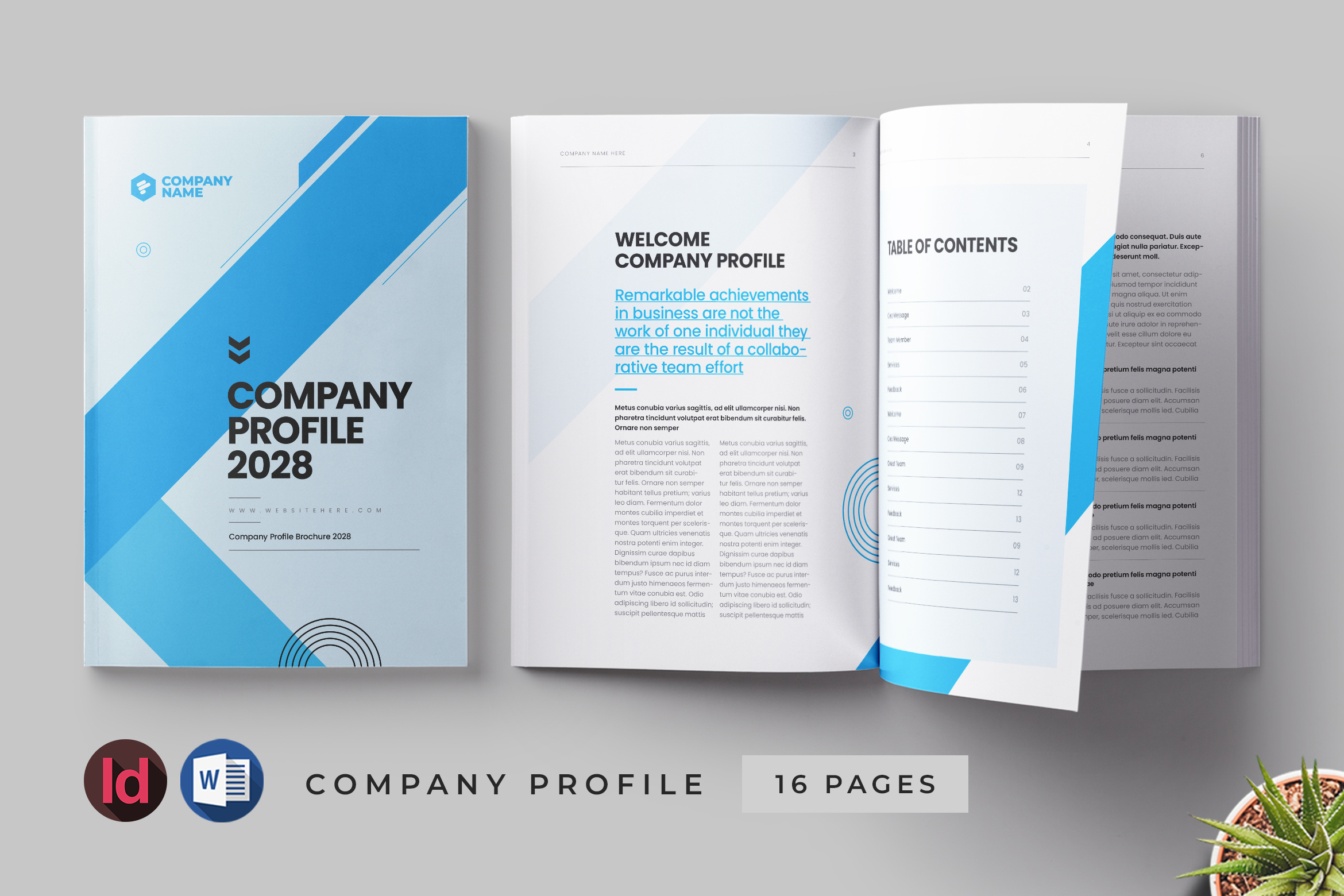 Company Profile design