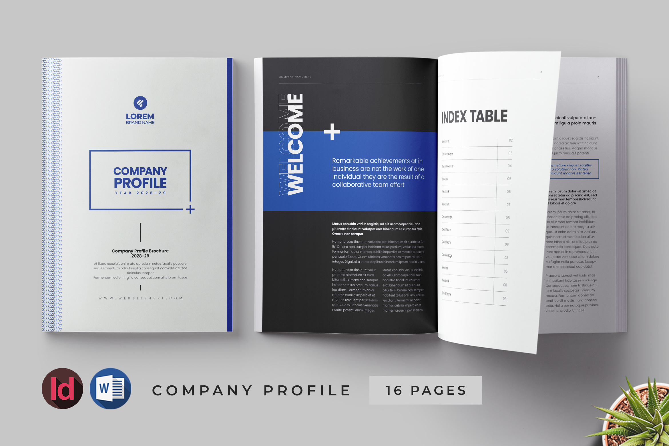 Company Profile design
