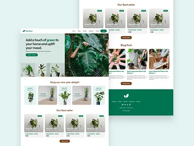 Plant website branding colors design dribbble figmadesign green logo plant plantapp plants portfolio ui uiux uiuxdesigner website